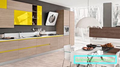 Kuchyňa v modernom štýle - 67 fotografií z najlepších nápadov moderného interiéru