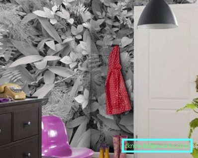 Čo tapetu vybrať pre chodbu v byte foto