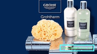 Mixéry Grohe: výhody a nevýhody, tipy na výber modelu Mixéry Grohe: výhody a nevýhody, tipy na výber modelu