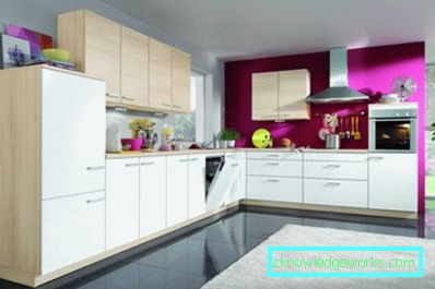 339 - Moderný dizajn kuchyne